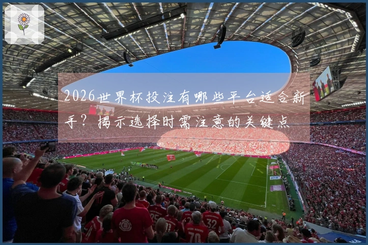 2026世界杯投注有哪些平台适合新手？揭示选择时需注意的关键点