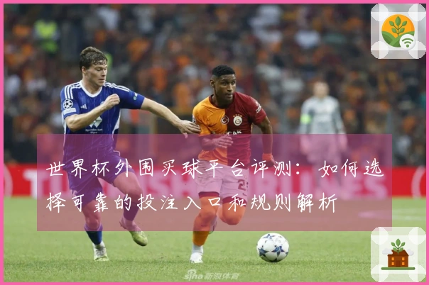 世界杯外围买球平台评测：如何选择可靠的投注入口和规则解析