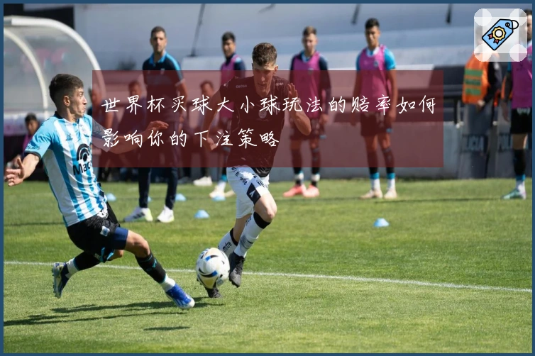 世界杯买球大小球玩法的赔率如何影响你的下注策略