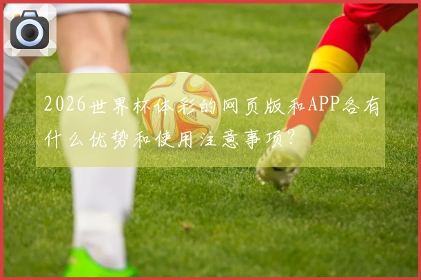 2026世界杯体彩的网页版和APP各有什么优势和使用注意事项？