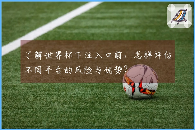 了解世界杯下注入口前，怎样评估不同平台的风险与优势？
