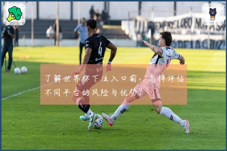了解世界杯下注入口前，怎样评估不同平台的风险与优势？