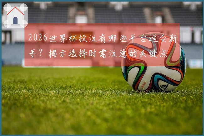 2026世界杯投注有哪些平台适合新手？揭示选择时需注意的关键点