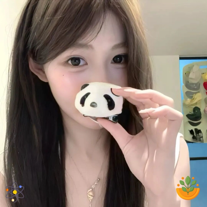 木棉
